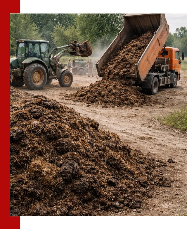 Доставка навоза самосвалами в Сыктывкаре для сельхозпотребностей